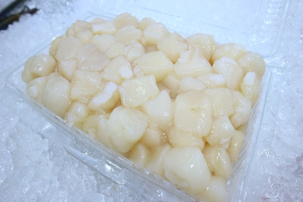 Cồi Sò Điệp