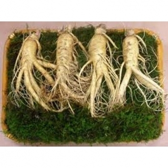Nhân sâm hàn quốc loại 4 củ/kg