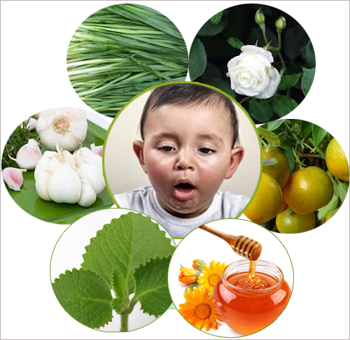 Bài thuốc nam chữa ho lâu ngày Bài thuốc nam chữa ho lâu ngày