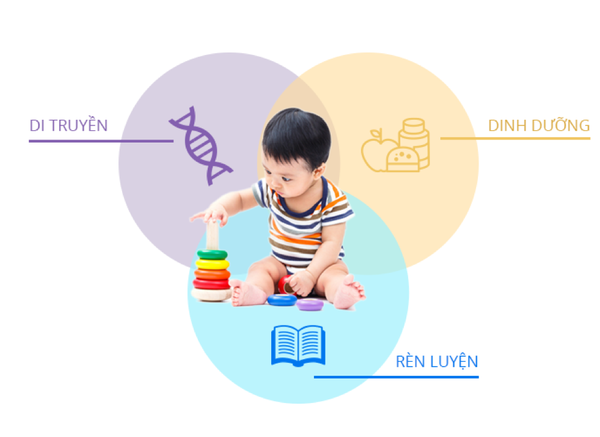 Phương pháp phát triển trí não cho trẻ từ 0 - 6 tuổi