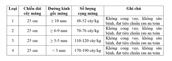 bang-tieu-chuan-phan-loai-mang-tay