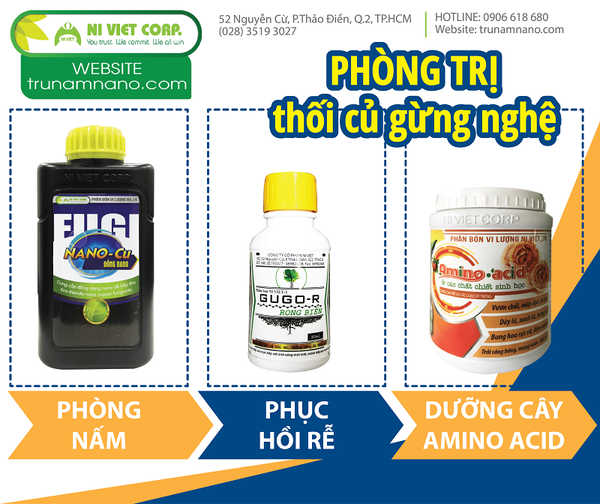 phong-tri-thoi-cu-gung-nghe-bang-thuoc-tru-nam-an-toan-nano-dong-fugi-nano-cu