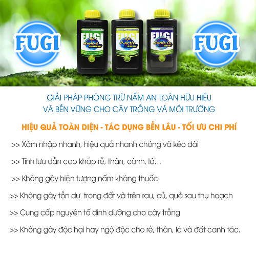 phong-tri-hieu-qua-benh-vang-la-thoi-goc-thoi-cu-tren-cay-hoa-ly-bang-bo-tru-nam-FUGI-nano-dong-nano-luu-huynh