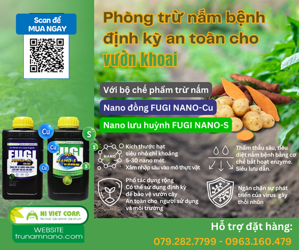 phong-tri-nam-benh-hai-khoai