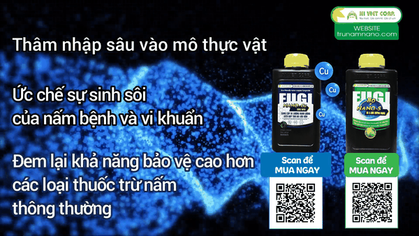 bo-doi-tru-nam-fugi-nano-phong-tri-nam-benh-hai-hoa-cuc