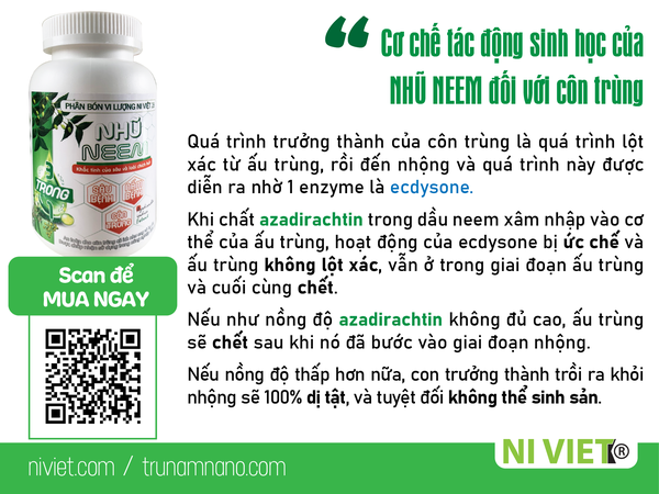 thuoc-tru-sau-sinh-hoc-nhu-neem