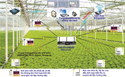 ung-dung-cam-bien-ket-noi-van-vat-iot-trong-nong-nghiep