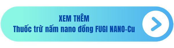 che-pham-tru-nam-an-toan-fugi-nano-cu