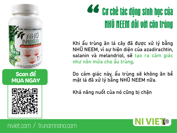 thuoc-tru-sau-sinh-hoc-nhu-neem