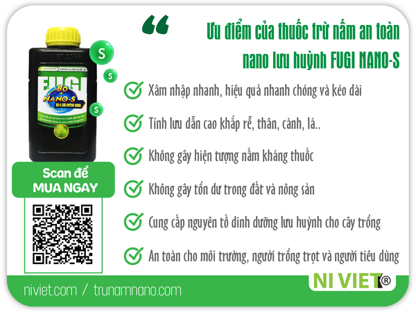 thuoc-tru-nam-an-toan-tu-dinh-duong-nano-luu-huynh-fugi-nano-s-co-tot-khong