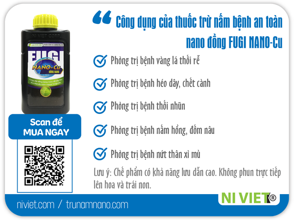 cach-phong-tri-benh-nam-hong-hai-cay-an-trai-bang-thuoc-tru-nam-an-toan-tu-dinh-duong-nano-dong-FUGI-NANO-CU