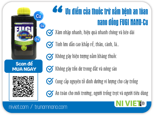 cach-phong-tri-benh-nam-hong-hai-cay-an-trai-bang-thuoc-tru-nam-an-toan-tu-dinh-duong-nano-dong-FUGI-NANO-CU