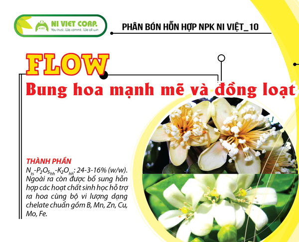 flow-che-pham-lam-bong-giup-bung-hoa-dong-loat