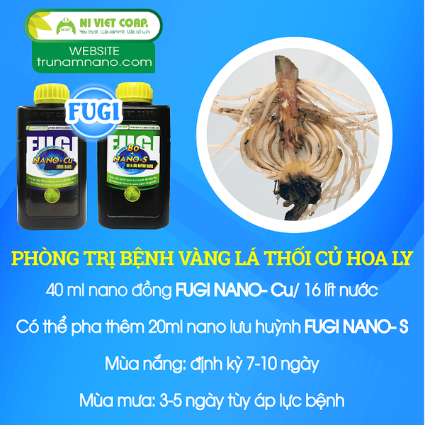 huong-dan-su-dung-thuoc-tru-nam-an-toan-tu-dinh-duong-cay-trong-FUGI-nano-dong-nano-luu-huynh-phong-tri-benh-vang-la-thoi-goc-thoi-cu-tren-cay-hoa-ly