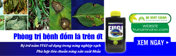 nano-dong-fugi-nano-cu-phong-tri-benh-dom-la-tren-cay-ot