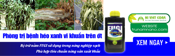 nano-dong-fugi-nano-cu-thuoc-phong-tri-benh-heo-xanh-vi-khuan-tren-cay-ot