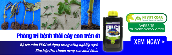 thuoc-phong-tri-benh-thoi-cay-con-hai-ot