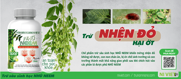 thuoc-tru-nhen-do-hai-ot