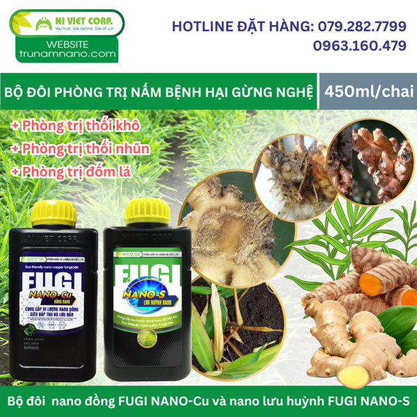 phong-tri-nam-benh-hai-gung-nghe