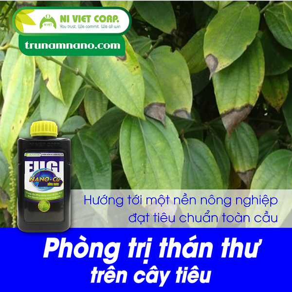 phong-tri-than-thu-cay-tieu-bang-thuoc-tru-nam-an-toan-nano-dong-fugi-nano-cu