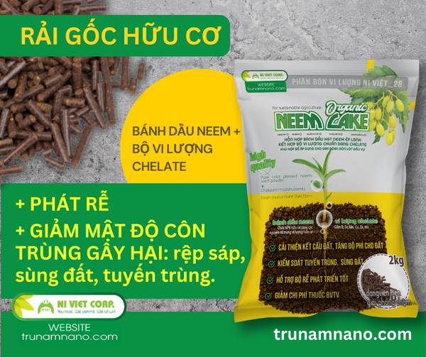 rai-goc-huu-co-neem-cake-phong-tri-rep-sap-hai-sau-rieng