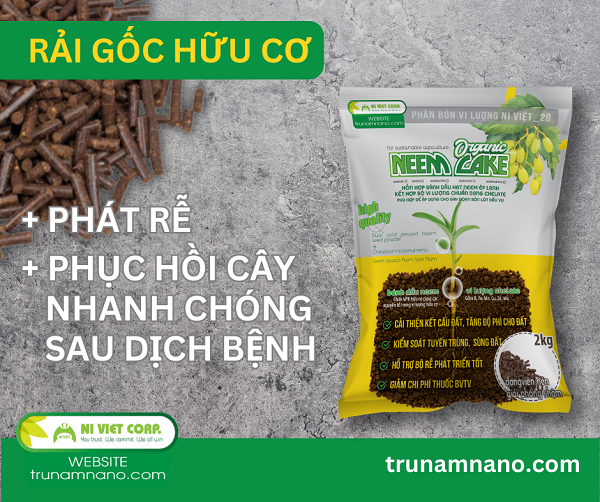 thuoc-tri-than-thu-ot