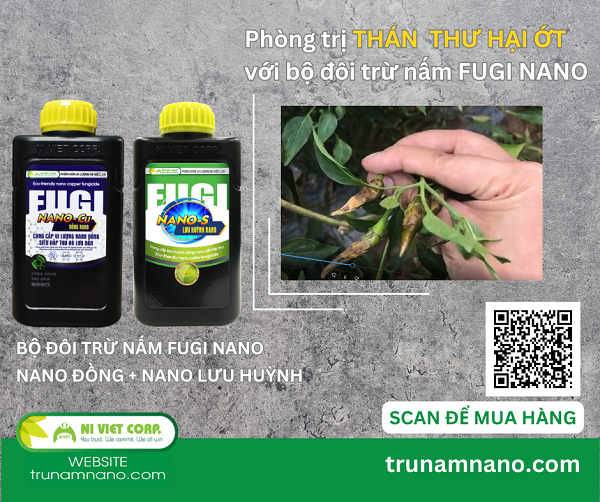 thuoc-tri-than-thu-ot