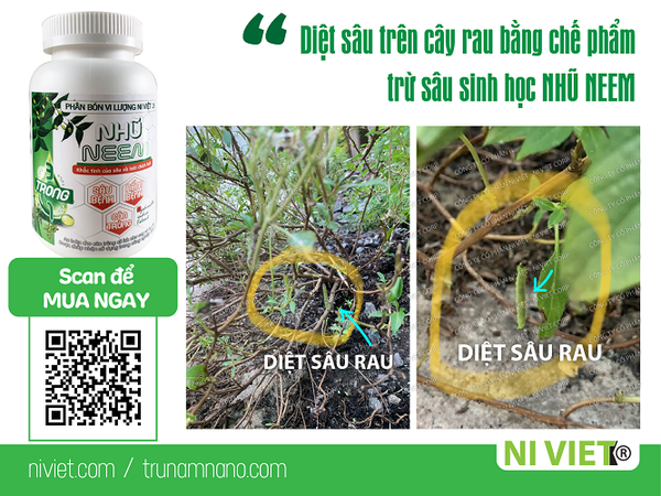 thuoc-tru-sau-sinh-hoc-NHU-NEEM-diet-sau-rau