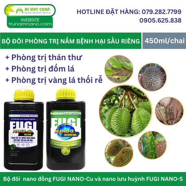 Bộ đôi FUGI NANO phòng trị nấm bệnh hại sầu riêng