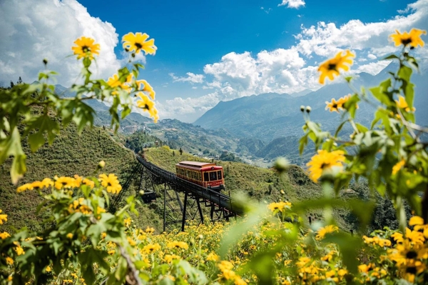 Combo Vé Cáp Treo Fansipan Và Ăn Tối Bản Mây