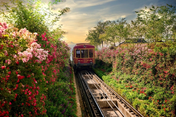 Vé Cáp Treo Fansipan - Nhanh Chóng, Uy Tín, Giá Tốt Nhất