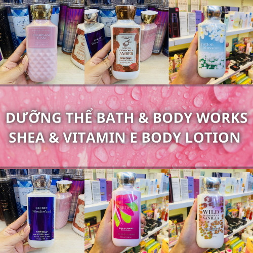 Review shea vitamin e body lotion là gì chăm sóc da hiệu quả