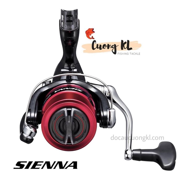 máy câu shimano sienna 2000 Máy câu Shimano Sienna FG (bản 2019)