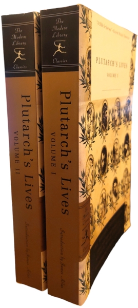 ubanpalza.bizwebvietnam.net