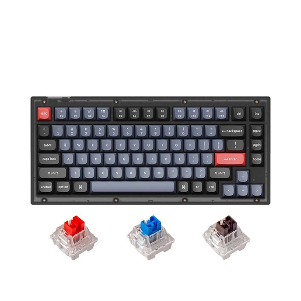 Bàn phím cơ Keychron V1 Full Assembled Black Translucent Led RGB HotSwap Keychron K Pro Switch Red / Blue / Brown