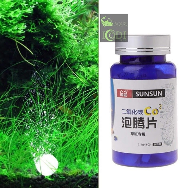 sunsun-co2-sc-27