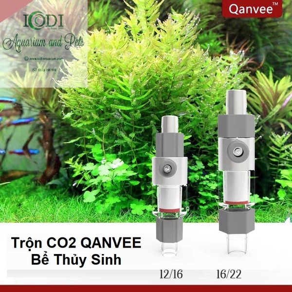 tron-co2-qanvee-be-thuy-sinh