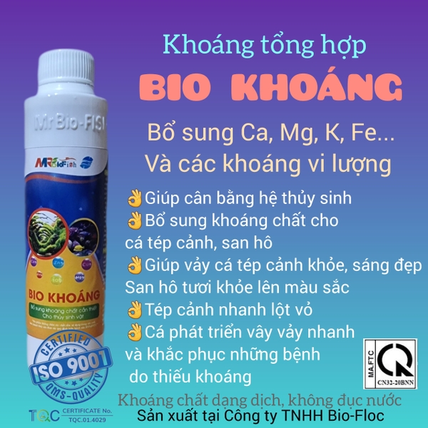 mrbiofish-bio-khoang