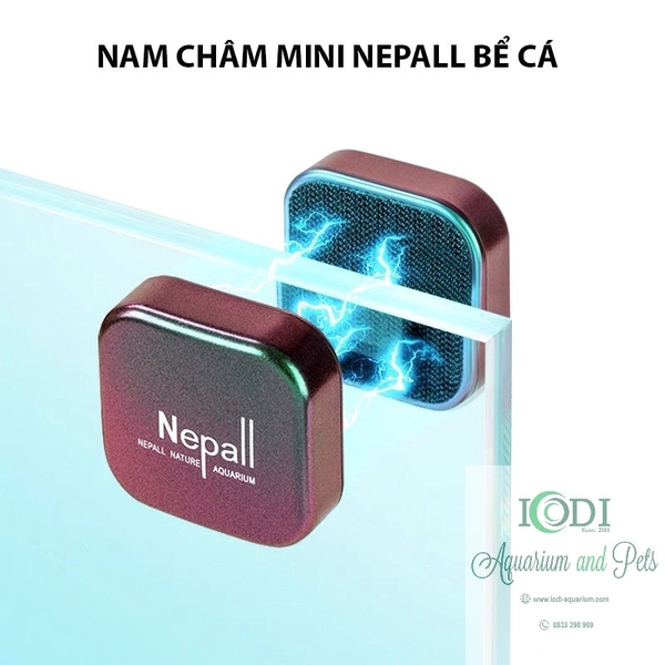 co-be-nam-cham-mini-nepall