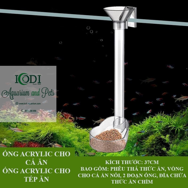 ong-cho-ca-an-acrylic