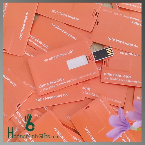 usb-namecard-in-logo-kh-binh-dang-gioi