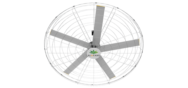 Quạt gắn tường sải cánh rộng, tốc độ chậm, lưu lượng lớn HVLS
