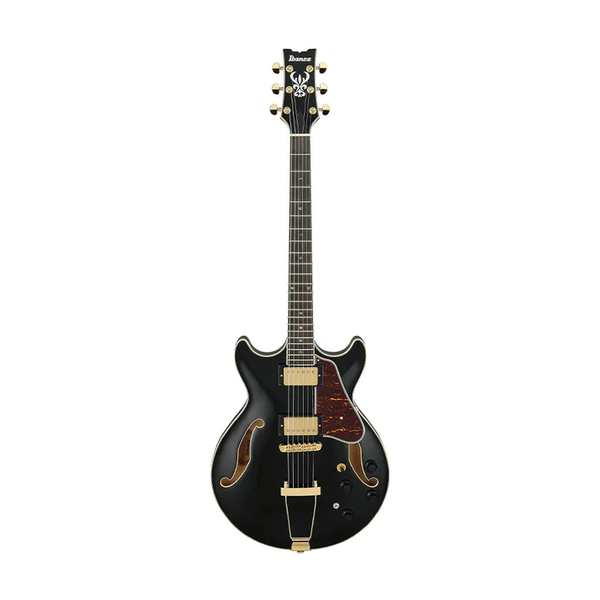 GUITAR ĐIỆN IBANEZ AMH90 - AM ARTCORE EXPRESSIONIST HH