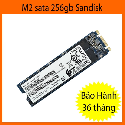 ổ cứng SSD M2 sata 256gb sandisk