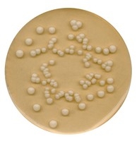 coliform-agar-acc-to-iso-9308-1-chromocult