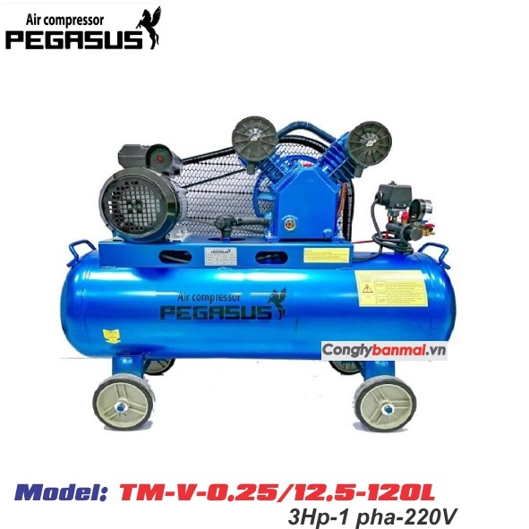 Máy nén khí Pegasus 3HP TM-V-0.25/12.5-120L(220V)