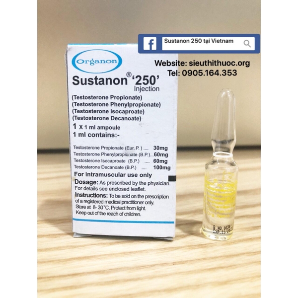 sustanon-250-vang-10-ong