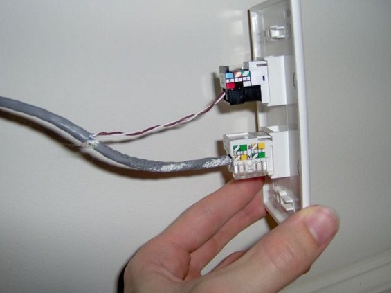 Nhân Điện Thoại RJ11 Modular Jack Cat3 OEM AMP