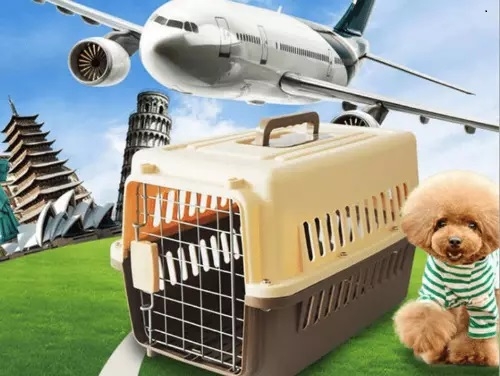HP - Lồng hàng không ( 4 size) lồng vận chuyển chó mèo hàng không (Màu ngẫu nhiên)-HP10572TC / lồng chó/ lồng mèo / đựng chó mèo