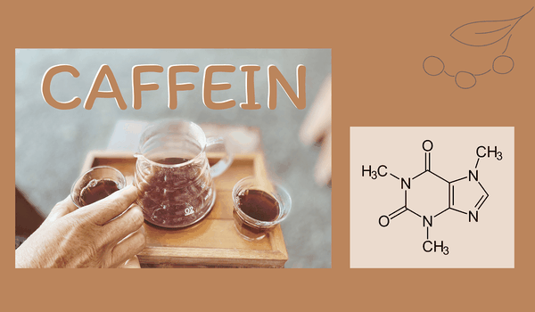 Caffeine là gì, cà phê nào chứa nhiều caffeine nhất?